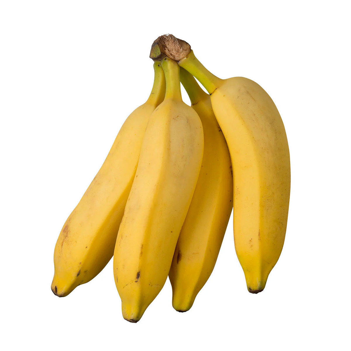 Banana Prata
