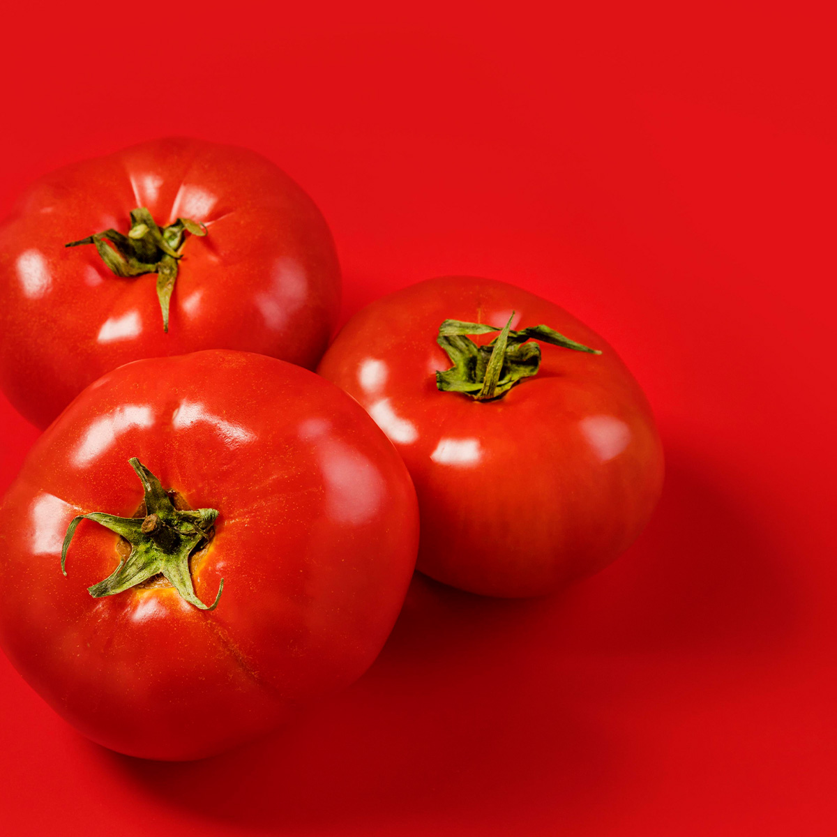Tomate Longa Vida