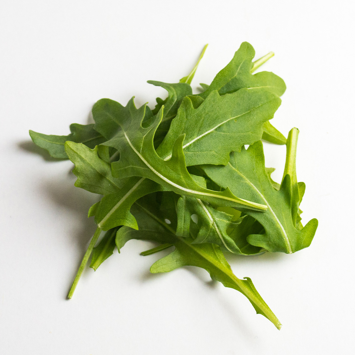 Rúcula