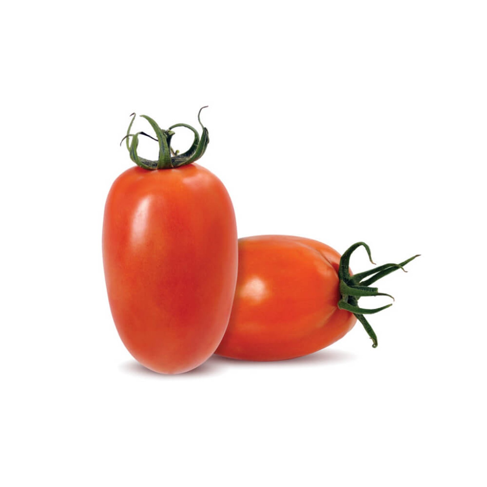 Tomate Italiano