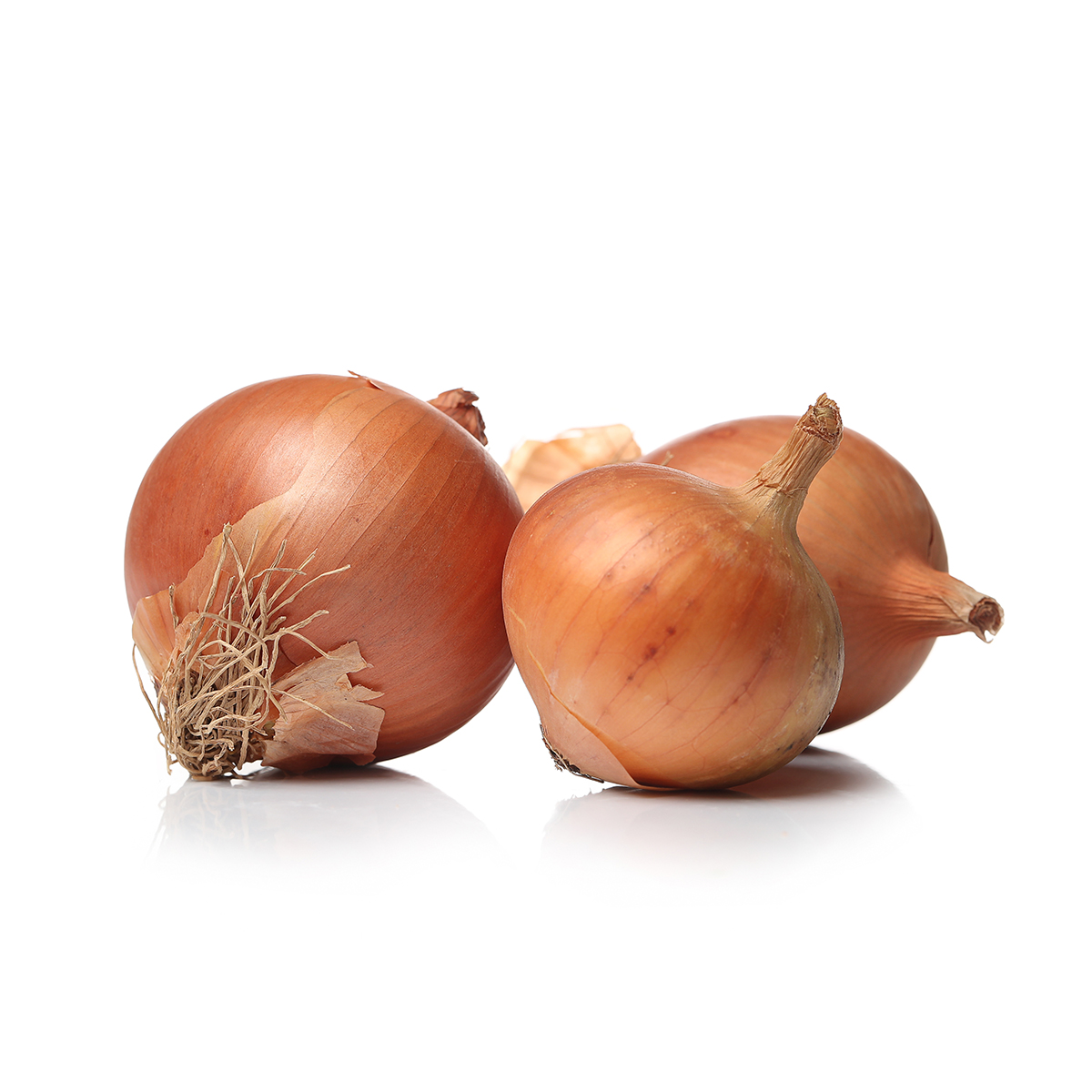 Cebola